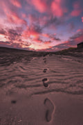 Brigantine’s Pink Dream