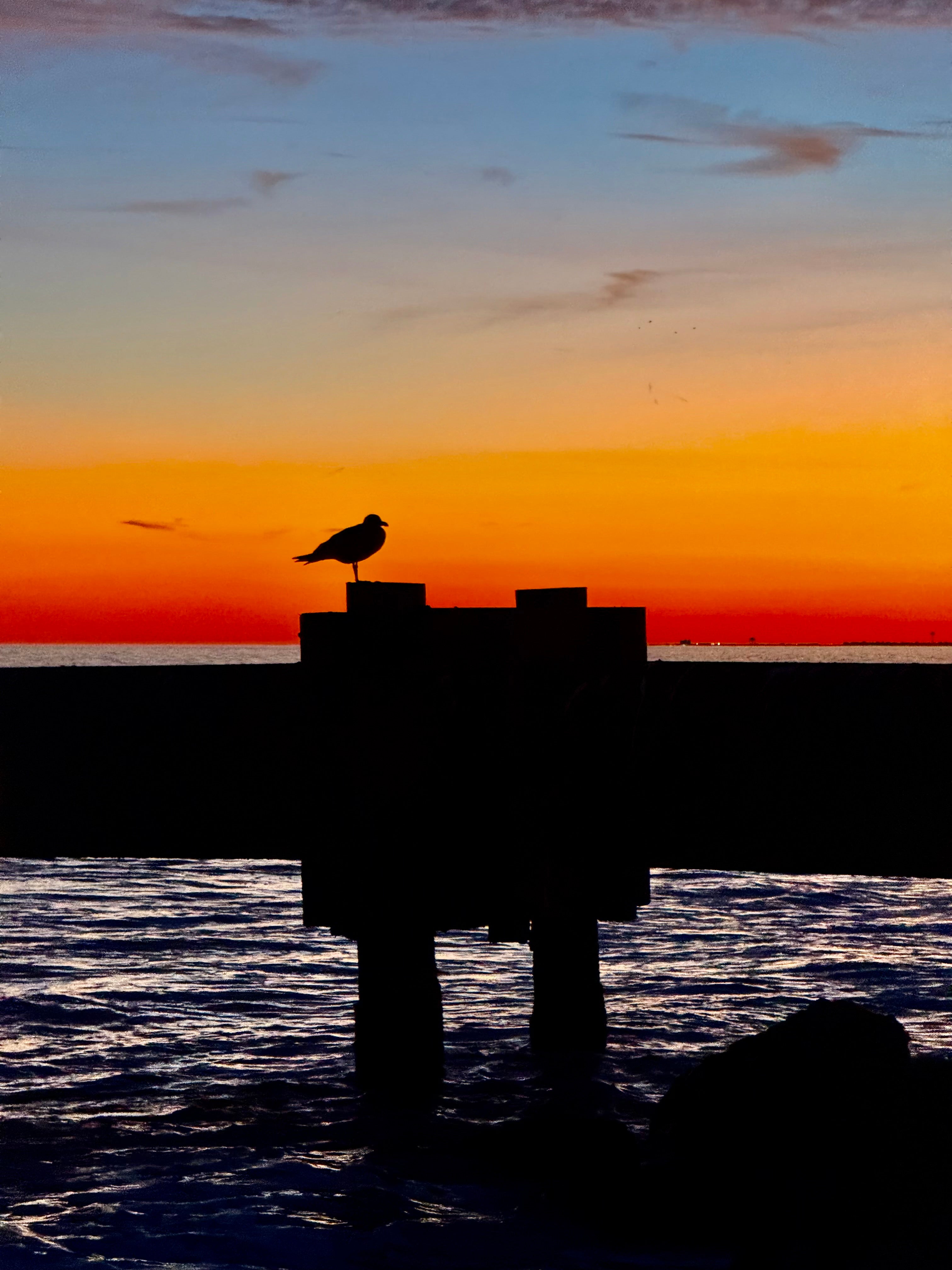 Golden Watcher