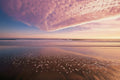 Purple Rain on the Shore