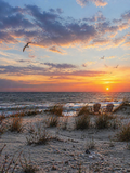 Sea breeze Point