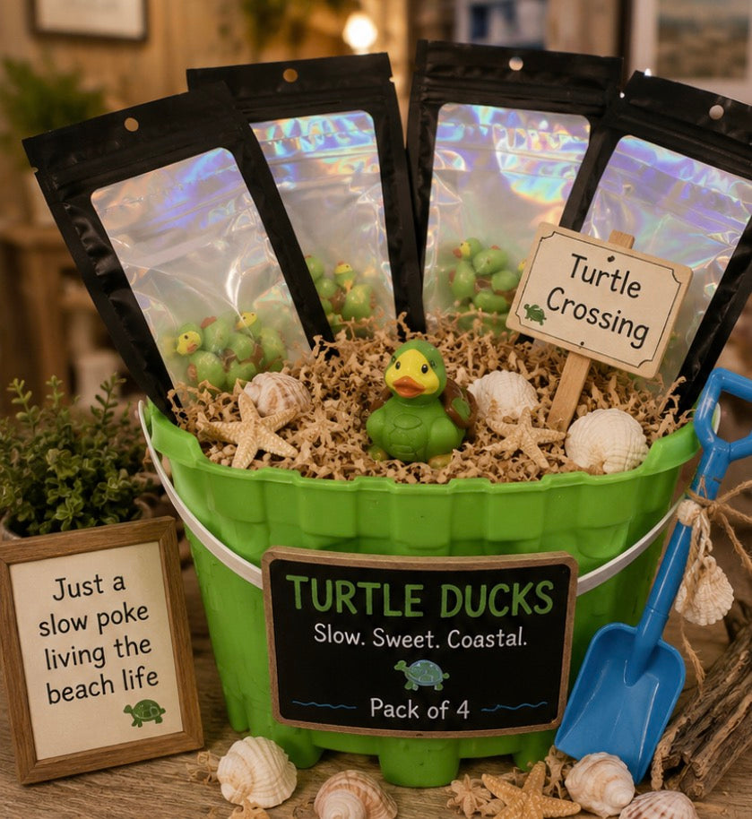 Sea Turtle Treasures - Set of 4
