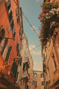 Where the Lights Meet the flowers in Italy